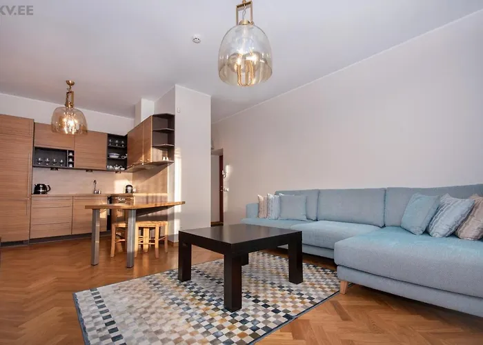 Stylish Apartment In The Heart Of Paernu